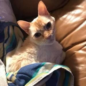 Meet your Posher, Lydia